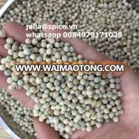 New crop at cheap price Vietnam white pepper ( whole white pepper ) double washed (E):julia@spice.vn Whatsapp 0084979171029